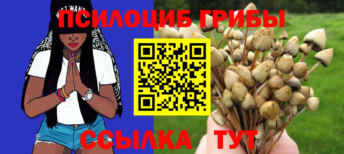 Красногорск  Галлюциногенные грибы Psilocybe  Галлюциногенные грибы MAGIC MUSHROOMS  Вход с VPN 