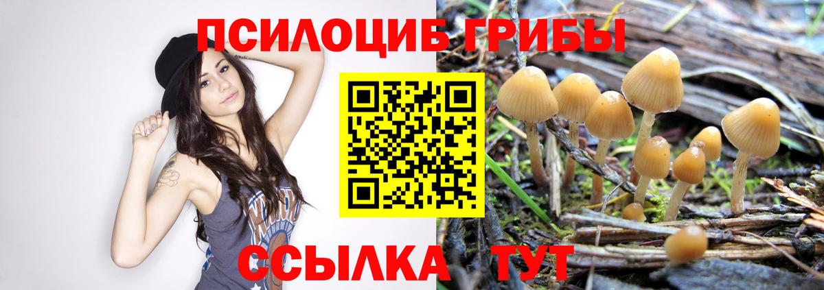 Галлюциногенные грибы GOLDEN TEACHER Красногорск
